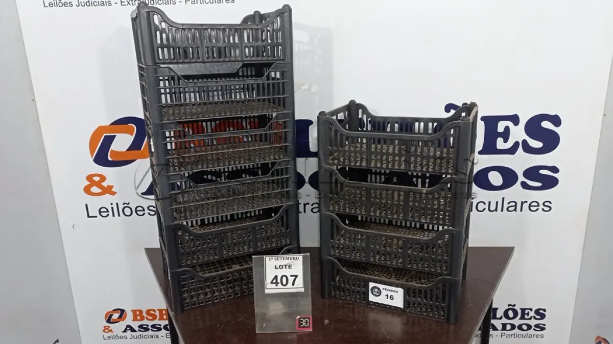 LOTE 407 - 10 CESTAS ORGANIZADORAS. (NO ESTADO) ATENÇÃO! FAZER A VISITAÇÃO ANTES DE ARREMATAR, NÃO SABEMOS SE FUNCIONA, LEILÃO NÃO TEM GARANTIA E NEM DEVOLUÇÃO, SUJEITO A POSSÍVEIS AVARIAS VISÍVEIS/OCULTAS E/OU AUSÊNCIA DE COMPONENTES.