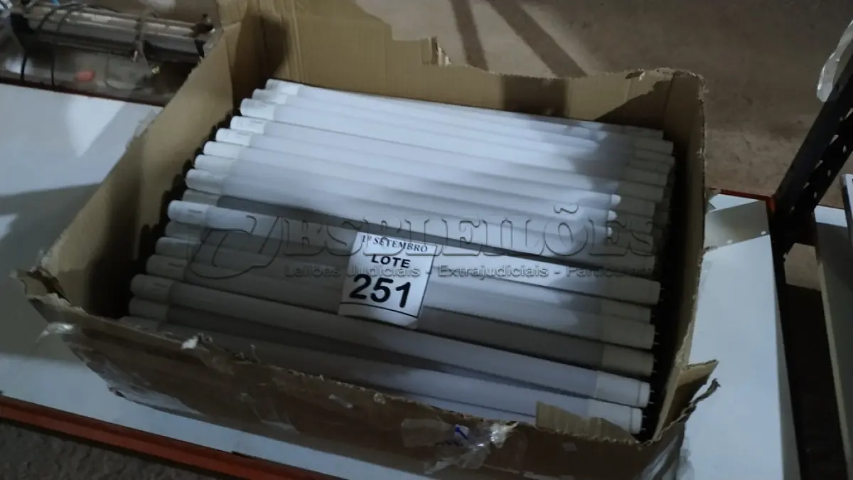 LOTE 251 - 01 LOTE COM GRANDE QUANTIDADE DE LÂMPADAS LED. (NO ESTADO) ATENÇÃO! FAZER A VISITAÇÃO ANTES DE ARREMATAR, NÃO SABEMOS SE FUNCIONA, LEILÃO NÃO TEM GARANTIA E NEM DEVOLUÇÃO, SUJEITO A POSSÍVEIS AVARIAS VISÍVEIS/OCULTAS E/OU AUSÊNCIA DE COMPONENTES.