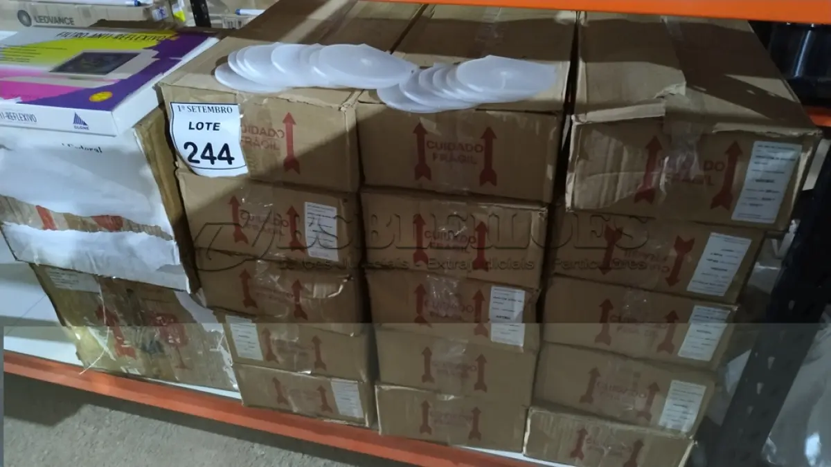 LOTE 244 - 01 LOTE COM GRANDE QUANTIDADE DE CAPAS PARA CD E FILTROS ANTI- REFLEXÍVEIS. (NO ESTADO) ATENÇÃO! FAZER A VISITAÇÃO ANTES DE ARREMATAR, NÃO SABEMOS SE FUNCIONA, LEILÃO NÃO TEM GARANTIA E NEM DEVOLUÇÃO, SUJEITO A POSSÍVEIS AVARIAS VISÍVEIS/OCULTAS E/OU AUSÊNCIA DE COMPONENTES