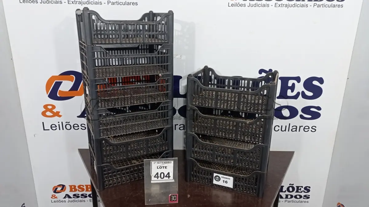 LOTE 404 - 10 CESTAS ORGANIZADORAS. (NO ESTADO) ATENÇÃO! FAZER A VISITAÇÃO ANTES DE ARREMATAR, NÃO SABEMOS SE FUNCIONA, LEILÃO NÃO TEM GARANTIA E NEM DEVOLUÇÃO, SUJEITO A POSSÍVEIS AVARIAS VISÍVEIS/OCULTAS E/OU AUSÊNCIA DE COMPONENTES.