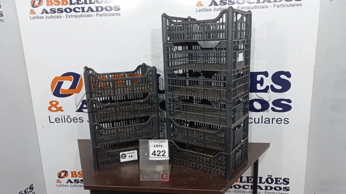 LOTE 422 - 10 CESTAS ORGANIZADORA. (NO ESTADO) ATENÇÃO! FAZER A VISITAÇÃO ANTES DE ARREMATAR, NÃO SABEMOS SE FUNCIONA, LEILÃO NÃO TEM GARANTIA E NEM DEVOLUÇÃO, SUJEITO A POSSÍVEIS AVARIAS VISÍVEIS/OCULTAS E/OU AUSÊNCIA DE COMPONENTES.