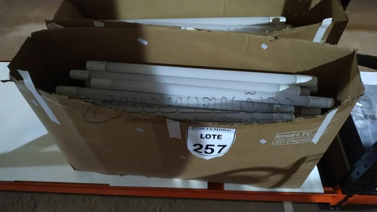 LOTE 257 - 01 LOTE COM GRANDE QUANTIDADE DE LÂMPADAS LED. (NO ESTADO) ATENÇÃO! FAZER A VISITAÇÃO ANTES DE ARREMATAR, NÃO SABEMOS SE FUNCIONA, LEILÃO NÃO TEM GARANTIA E NEM DEVOLUÇÃO, SUJEITO A POSSÍVEIS AVARIAS VISÍVEIS/OCULTAS E/OU AUSÊNCIA DE COMPONENTES.