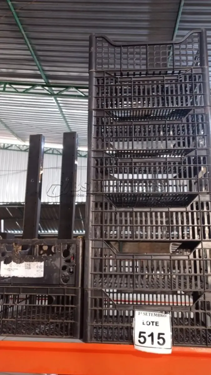 LOTE 515 - 10 CESTAS ORGANIZADORAS. (NO ESTADO) ATENÇÃO! FAZER A VISITAÇÃO ANTES DE ARREMATAR, NÃO SABEMOS SE FUNCIONA, LEILÃO NÃO TEM GARANTIA E NEM DEVOLUÇÃO, SUJEITO A POSSÍVEIS AVARIAS VISÍVEIS/OCULTAS E/OU AUSÊNCIA DE COMPONENTES.
