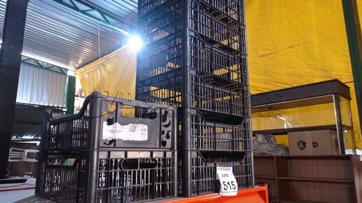 LOTE 515 - 10 CESTAS ORGANIZADORAS. (NO ESTADO) ATENÇÃO! FAZER A VISITAÇÃO ANTES DE ARREMATAR, NÃO SABEMOS SE FUNCIONA, LEILÃO NÃO TEM GARANTIA E NEM DEVOLUÇÃO, SUJEITO A POSSÍVEIS AVARIAS VISÍVEIS/OCULTAS E/OU AUSÊNCIA DE COMPONENTES.