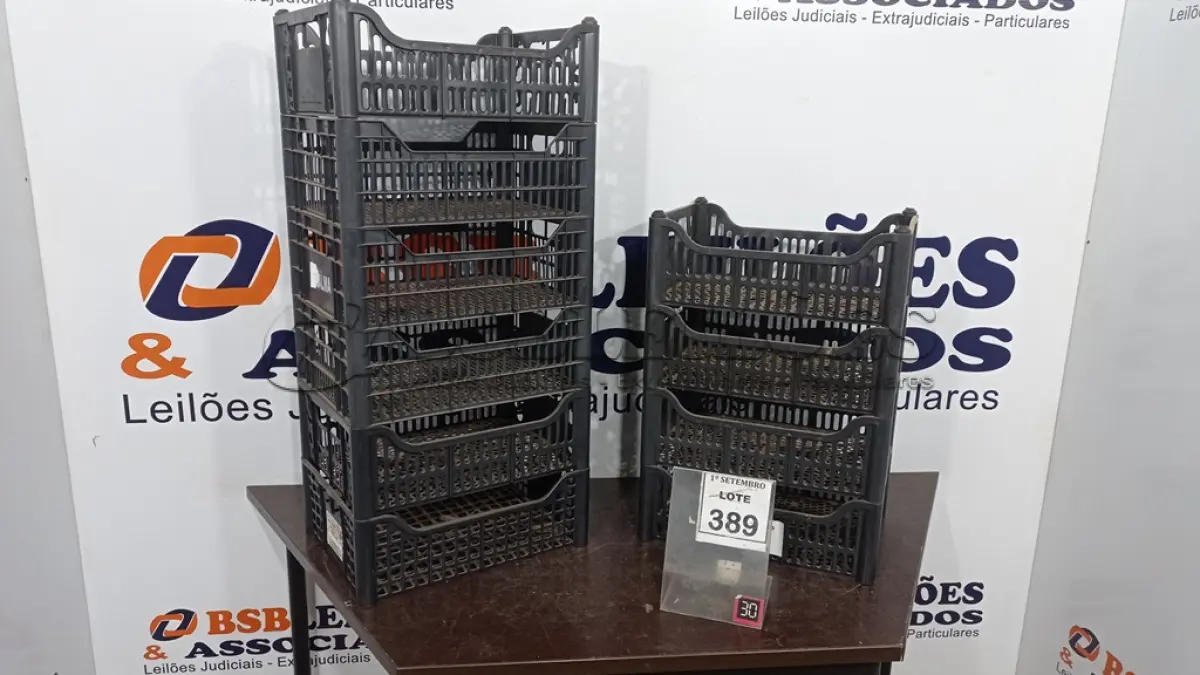LOTE 389 - 10 CESTAS ORGANIZADORAS. (NO ESTADO) ATENÇÃO! FAZER A VISITAÇÃO ANTES DE ARREMATAR, NÃO SABEMOS SE FUNCIONA, LEILÃO NÃO TEM GARANTIA E NEM DEVOLUÇÃO, SUJEITO A POSSÍVEIS AVARIAS VISÍVEIS/OCULTAS E/OU AUSÊNCIA DE COMPONENTES.