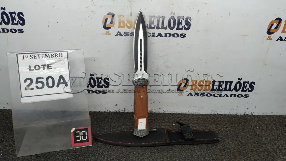 LOTE 250 - 01 PUNHAL IMPORTADA AÇO INOXIDÁVEL CABO EM MADEIRA   FULL TANG BAINHA DE NYLON TAMANHO TOTAL 28CM PESO 288G.  (NO ESTADO) ATENÇÃO! FAZER A VISITAÇÃO ANTES DE ARREMATAR, NÃO SABEMOS SE FUNCIONA. LEILÃO NÃO TEM GARANTIA E NEM DEVOLUÇÃO, SUJEITO A POSSÍVEIS AVARIAS VISÍVEIS/OCULTAS E/OU AUSÊNCIA DE COMPONENTES.