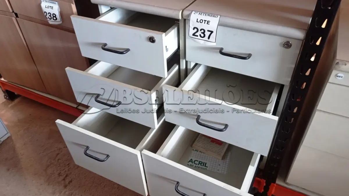 LOTE 237 - 02 GAVETEIROS COM 03 GAVETAS CADA. (NO ESTADO) ATENÇÃO! FAZER A VISITAÇÃO ANTES DE ARREMATAR, NÃO SABEMOS SE FUNCIONA, LEILÃO NÃO TEM GARANTIA E NEM DEVOLUÇÃO, SUJEITO A POSSÍVEIS AVARIAS VISÍVEIS/OCULTAS E/OU AUSÊNCIA DE COMPONENTES.