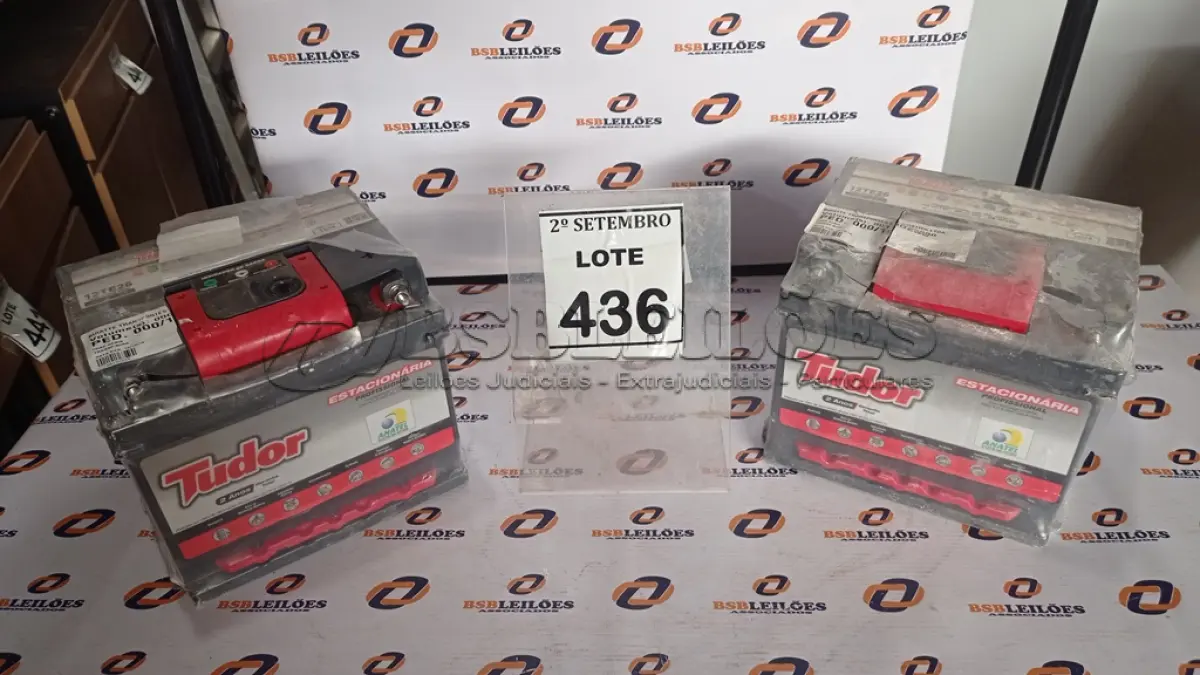 LOTE 436