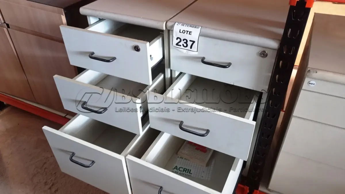 LOTE 237 - 02 GAVETEIROS COM 03 GAVETAS CADA. (NO ESTADO) ATENÇÃO! FAZER A VISITAÇÃO ANTES DE ARREMATAR, NÃO SABEMOS SE FUNCIONA, LEILÃO NÃO TEM GARANTIA E NEM DEVOLUÇÃO, SUJEITO A POSSÍVEIS AVARIAS VISÍVEIS/OCULTAS E/OU AUSÊNCIA DE COMPONENTES.
