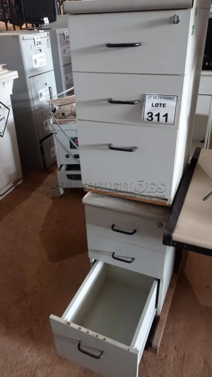 LOTE 311 - 02 GAVETEIROS COM 03 GAVETAS CADA. (NO ESTADO) ATENÇÃO! FAZER A VISITAÇÃO ANTES DE ARREMATAR, NÃO SABEMOS SE FUNCIONA, LEILÃO NÃO TEM GARANTIA E NEM DEVOLUÇÃO, SUJEITO A POSSÍVEIS AVARIAS VISÍVEIS/OCULTAS E/OU AUSÊNCIA DE COMPONENTES.