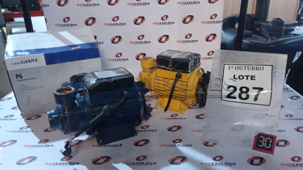LOTE 287 - 02 MOTOBOMBAS PERIFÉRICAS. (NO ESTADO) ATENÇÃO! FAZER A VISITAÇÃO ANTES DE ARREMATAR, NÃO SABEMOS SE FUNCIONA, LEILÃO NÃO TEM GARANTIA E NEM DEVOLUÇÃO, SUJEITO A POSSÍVEIS AVARIAS VISÍVEIS/OCULTAS E/OU AUSÊNCIA DE COMPONENTES.