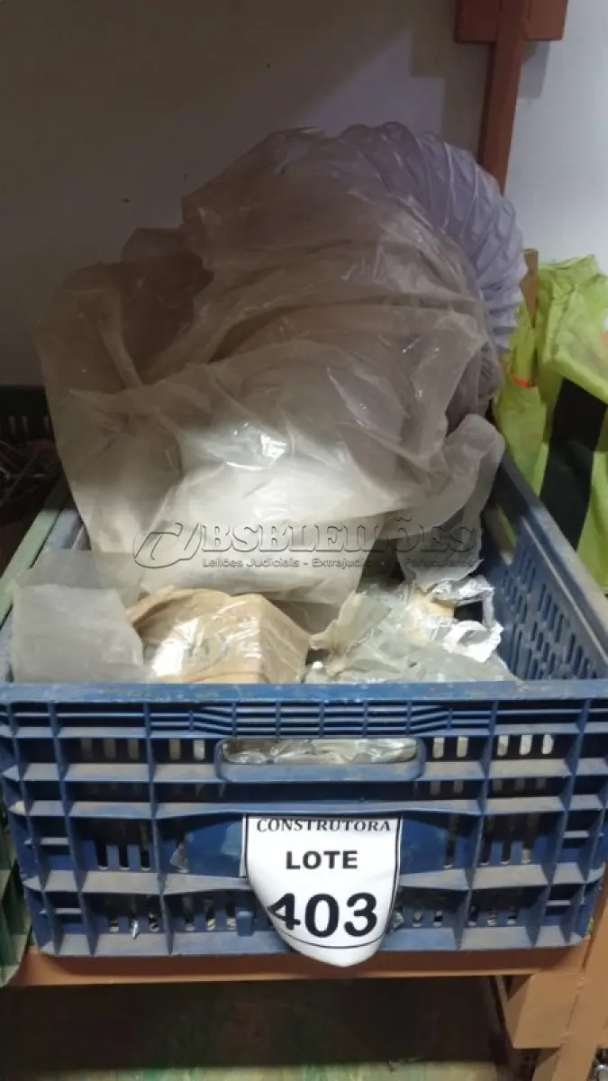 LOTE 403 - 01 LOTE COM PARAFUSOS TAMANHOS DIVERSOS. (CAIXA ORGANIZADORA NAO INCLUSA) (NO ESTADO) ATENÇÃO! FAZER A VISITAÇÃO ANTES DE ARREMATAR, NÃO SABEMOS SE FUNCIONA, LEILÃO NÃO TEM GARANTIA E NEM DEVOLUÇÃO, SUJEITO A POSSÍVEIS AVARIAS VISÍVEIS/OCULTAS E/OU AUSÊNCIA DE COMPONENTES.