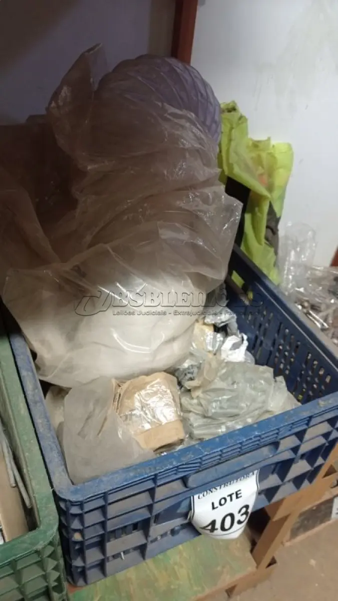 LOTE 403 - 01 LOTE COM PARAFUSOS TAMANHOS DIVERSOS. (CAIXA ORGANIZADORA NAO INCLUSA) (NO ESTADO) ATENÇÃO! FAZER A VISITAÇÃO ANTES DE ARREMATAR, NÃO SABEMOS SE FUNCIONA, LEILÃO NÃO TEM GARANTIA E NEM DEVOLUÇÃO, SUJEITO A POSSÍVEIS AVARIAS VISÍVEIS/OCULTAS E/OU AUSÊNCIA DE COMPONENTES.