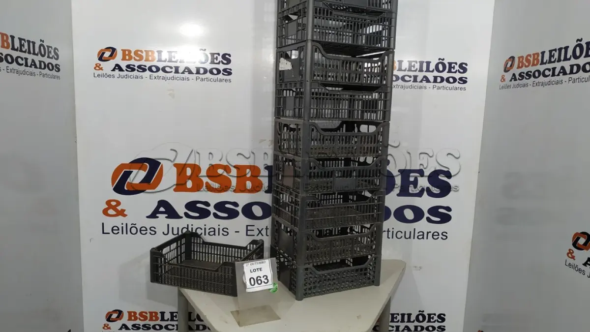 LOTE 063 - 10 CESTAS DE ORGANIZADORAS. (NO ESTADO) ATENÇÃO! FAZER A VISITAÇÃO ANTES DE ARREMATAR, NÃO SABEMOS SE FUNCIONA, LEILÃO NÃO TEM GARANTIA E NEM DEVOLUÇÃO, SUJEITO A POSSÍVEIS AVARIAS VISÍVEIS/OCULTAS E/OU AUSÊNCIA DE COMPONENTES.