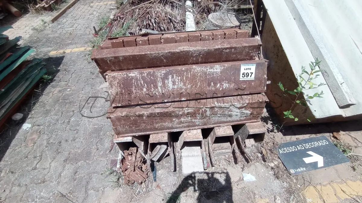 LOTE 597