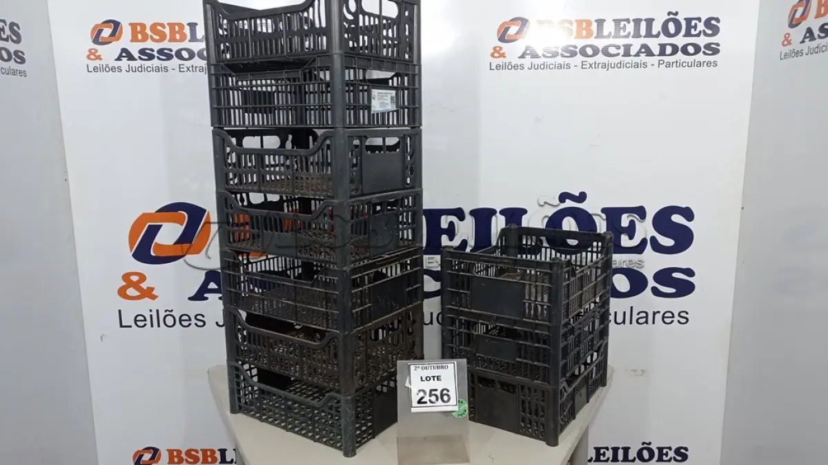 LOTE 256 - 10 CESTAS ORGANIZADORAS. (NO ESTADO) ATENÇÃO! FAZER A VISITAÇÃO ANTES DE ARREMATAR, NÃO SABEMOS SE FUNCIONA, LEILÃO NÃO TEM GARANTIA E NEM DEVOLUÇÃO, SUJEITO A POSSÍVEIS AVARIAS VISÍVEIS/OCULTAS E/OU AUSÊNCIA DE COMPONENTES.