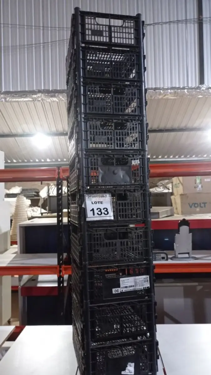 LOTE 133 - 10 CESTAS ORGANIZADORAS. (NO ESTADO) ATENÇÃO! FAZER A VISITAÇÃO ANTES DE ARREMATAR, NÃO SABEMOS SE FUNCIONA, LEILÃO NÃO TEM GARANTIA E NEM DEVOLUÇÃO, SUJEITO A POSSÍVEIS AVARIAS VISÍVEIS/OCULTAS E/OU AUSÊNCIA DE COMPONENTES.