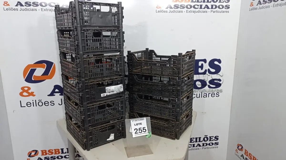 LOTE 255 - 10 CESTAS ORGANIZADORAS. (NO ESTADO) ATENÇÃO! FAZER A VISITAÇÃO ANTES DE ARREMATAR, NÃO SABEMOS SE FUNCIONA, LEILÃO NÃO TEM GARANTIA E NEM DEVOLUÇÃO, SUJEITO A POSSÍVEIS AVARIAS VISÍVEIS/OCULTAS E/OU AUSÊNCIA DE COMPONENTES.