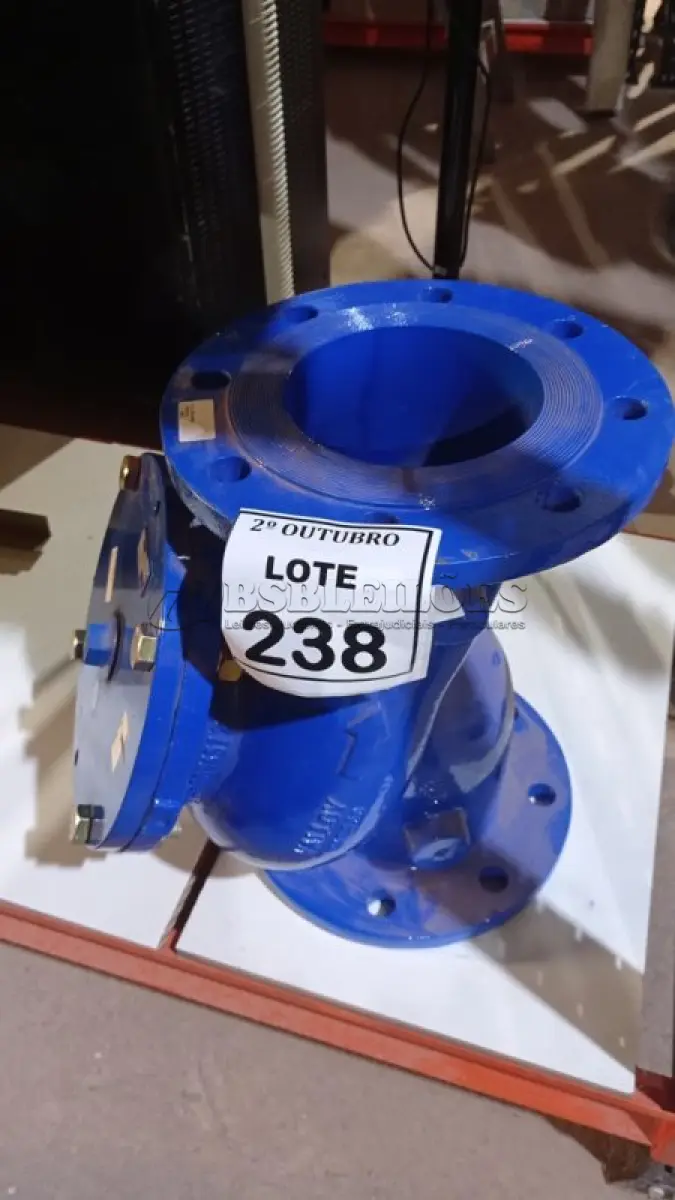 LOTE 238 - 01 VÁLVULA DE RETENÇÃO TIPO Y FLANGEADA. (NO ESTADO) ATENÇÃO! FAZER A VISITAÇÃO ANTES DE ARREMATAR, NÃO SABEMOS SE FUNCIONA, LEILÃO NÃO TEM GARANTIA E NEM DEVOLUÇÃO, SUJEITO A POSSÍVEIS AVARIAS VISÍVEIS/OCULTAS E/OU AUSÊNCIA DE COMPONENTES.