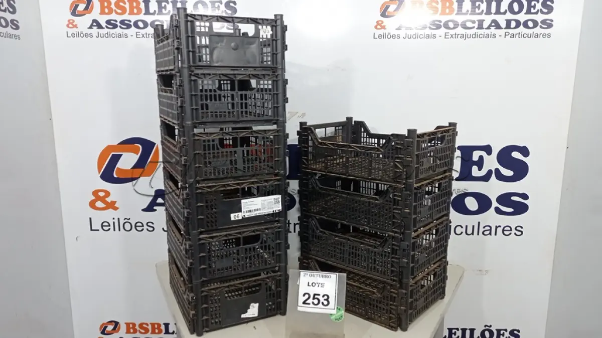 LOTE 253 - 10 CESTAS ORGANIZADORAS. (NO ESTADO) ATENÇÃO! FAZER A VISITAÇÃO ANTES DE ARREMATAR, NÃO SABEMOS SE FUNCIONA, LEILÃO NÃO TEM GARANTIA E NEM DEVOLUÇÃO, SUJEITO A POSSÍVEIS AVARIAS VISÍVEIS/OCULTAS E/OU AUSÊNCIA DE COMPONENTES.