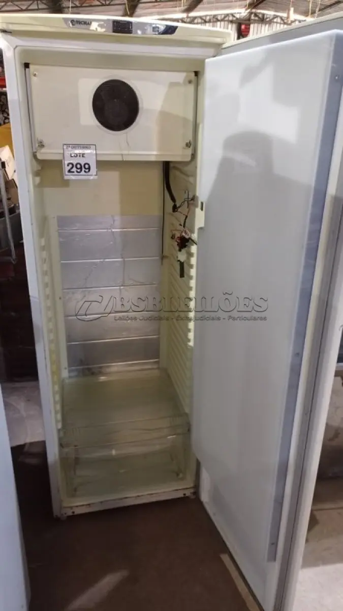 LOTE 299