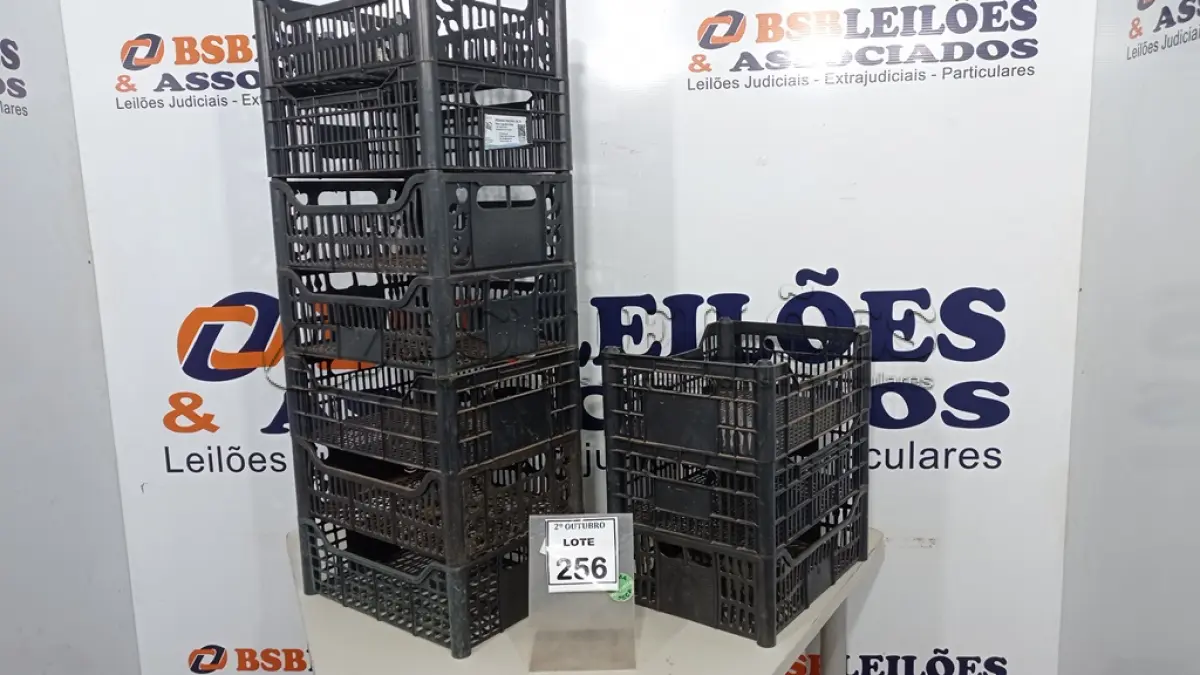 LOTE 256 - 10 CESTAS ORGANIZADORAS. (NO ESTADO) ATENÇÃO! FAZER A VISITAÇÃO ANTES DE ARREMATAR, NÃO SABEMOS SE FUNCIONA, LEILÃO NÃO TEM GARANTIA E NEM DEVOLUÇÃO, SUJEITO A POSSÍVEIS AVARIAS VISÍVEIS/OCULTAS E/OU AUSÊNCIA DE COMPONENTES.