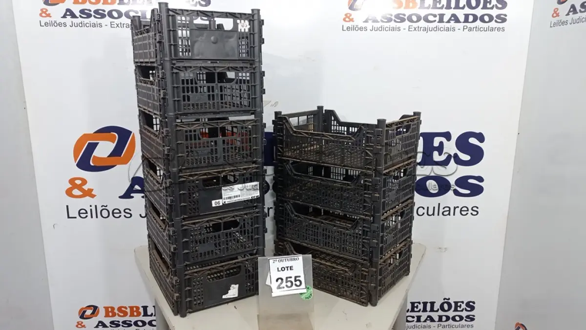 LOTE 255 - 10 CESTAS ORGANIZADORAS. (NO ESTADO) ATENÇÃO! FAZER A VISITAÇÃO ANTES DE ARREMATAR, NÃO SABEMOS SE FUNCIONA, LEILÃO NÃO TEM GARANTIA E NEM DEVOLUÇÃO, SUJEITO A POSSÍVEIS AVARIAS VISÍVEIS/OCULTAS E/OU AUSÊNCIA DE COMPONENTES.