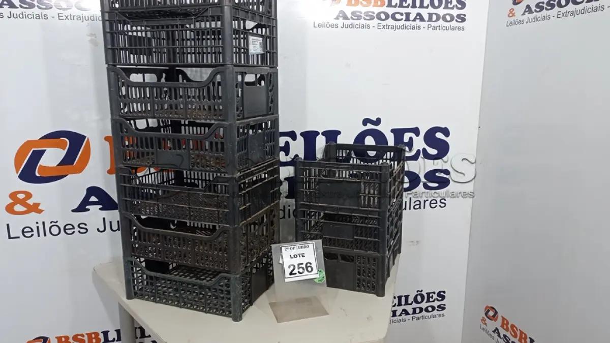 LOTE 256 - 10 CESTAS ORGANIZADORAS. (NO ESTADO) ATENÇÃO! FAZER A VISITAÇÃO ANTES DE ARREMATAR, NÃO SABEMOS SE FUNCIONA, LEILÃO NÃO TEM GARANTIA E NEM DEVOLUÇÃO, SUJEITO A POSSÍVEIS AVARIAS VISÍVEIS/OCULTAS E/OU AUSÊNCIA DE COMPONENTES.