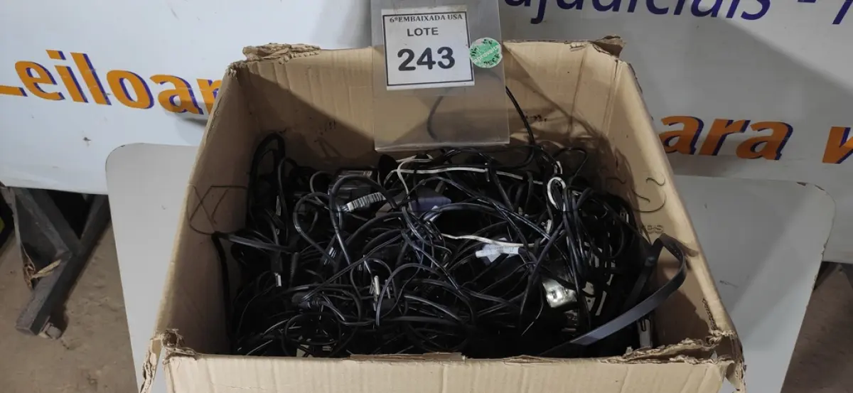 LOTE 243