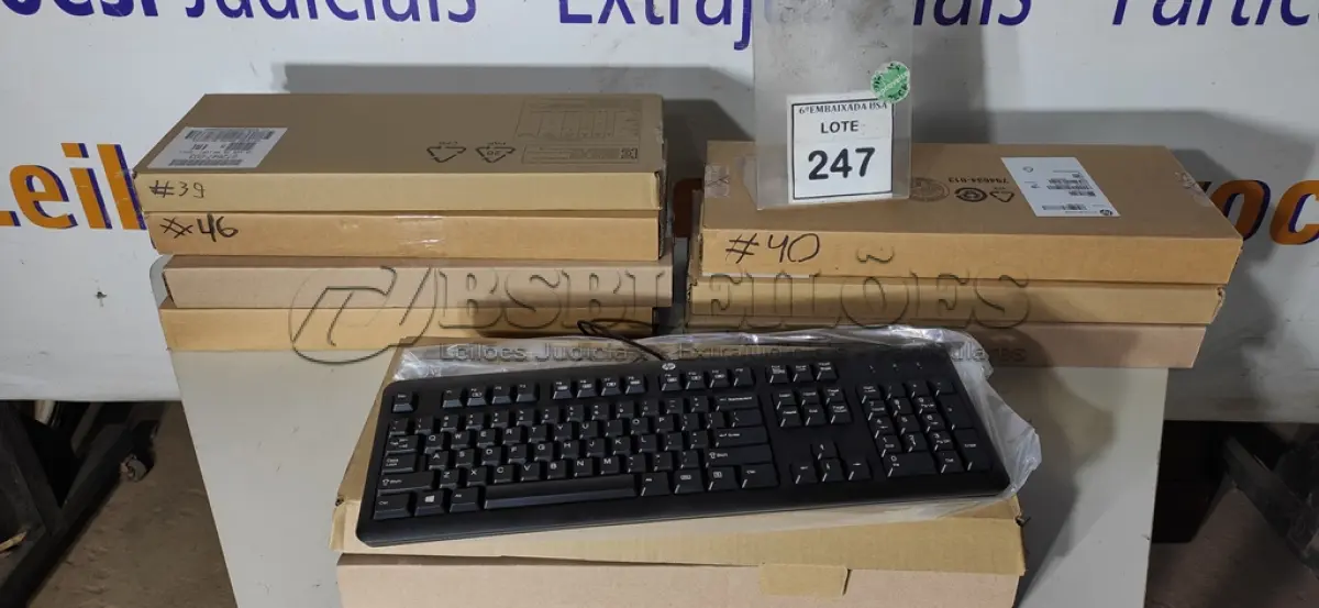 LOTE 247