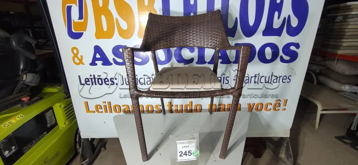 LOTE 245