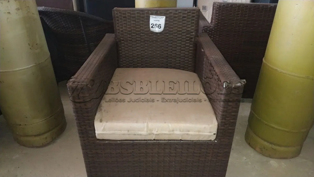 LOTE 266