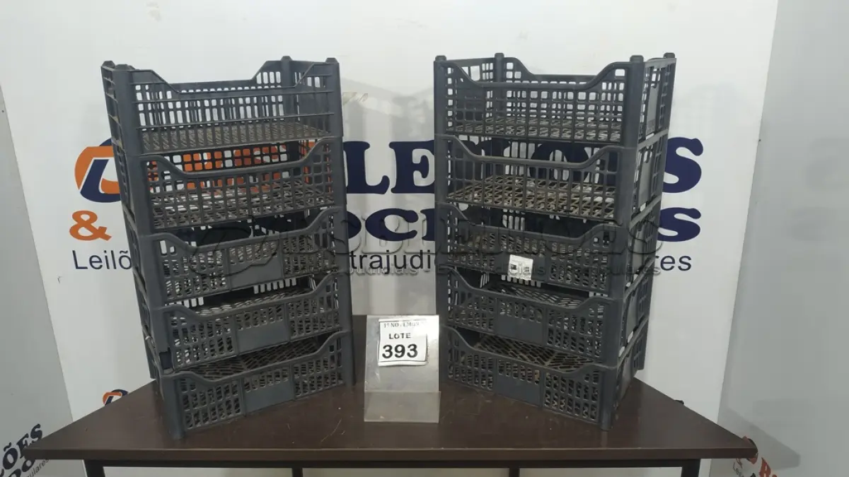 LOTE 393 - 10 CESTAS ORGANIZADORAS. (NO ESTADO) ATENÇÃO! FAZER A VISITAÇÃO ANTES DE ARREMATAR, NÃO SABEMOS SE FUNCIONA, LEILÃO NÃO TEM GARANTIA E NEM DEVOLUÇÃO, SUJEITO A POSSÍVEIS AVARIAS VISÍVEIS/OCULTAS E/OU AUSÊNCIA DE COMPONENTES.