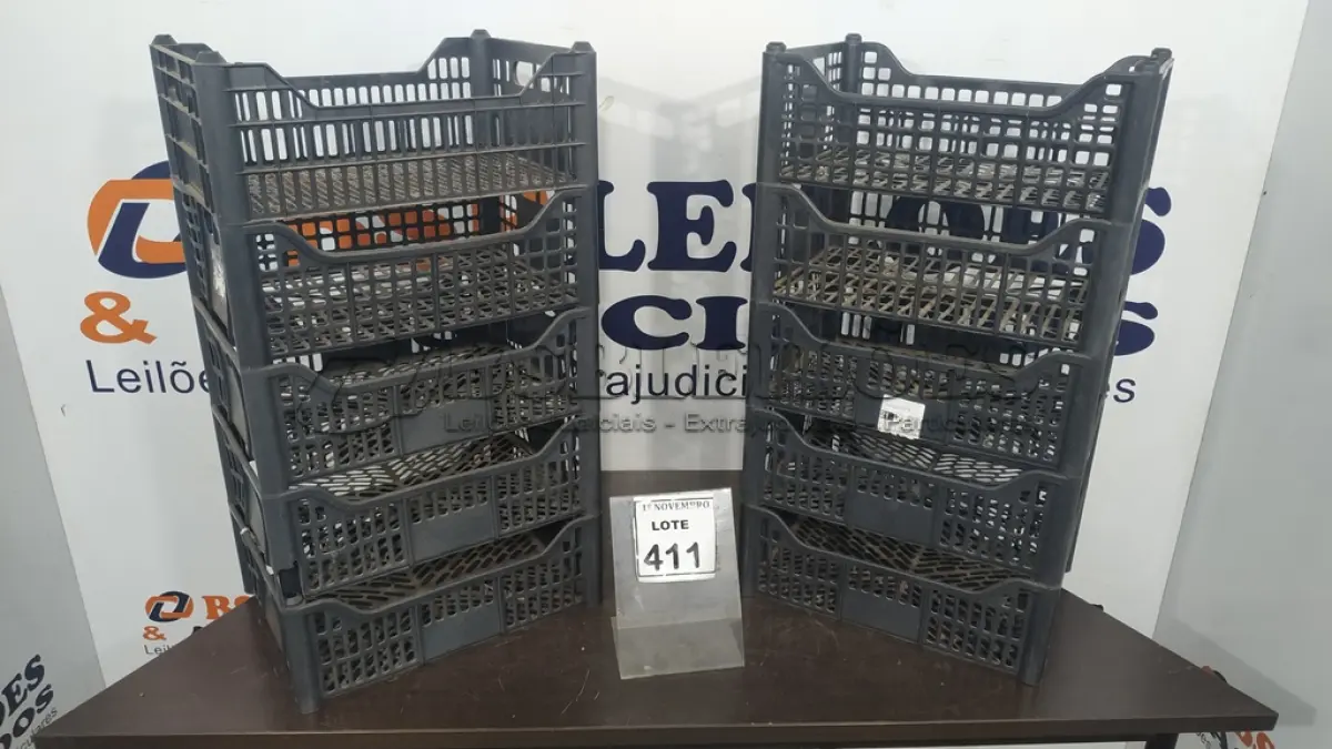 LOTE 411 - 10 CESTAS ORGANIZADORAS. (NO ESTADO) ATENÇÃO! FAZER A VISITAÇÃO ANTES DE ARREMATAR, NÃO SABEMOS SE FUNCIONA, LEILÃO NÃO TEM GARANTIA E NEM DEVOLUÇÃO, SUJEITO A POSSÍVEIS AVARIAS VISÍVEIS/OCULTAS E/OU AUSÊNCIA DE COMPONENTES.