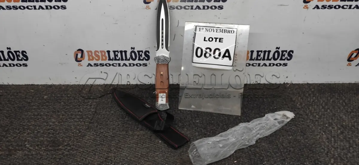 LOTE 080 - 01 PUNHAL IMPORTADA AÇO INOXIDÁVEL CABO EM MADEIRA FULL TANG BAINHA DE NYLON TAMANHO TOTAL 28CM PESO 288G. (NO ESTADO) ATENÇÃO! FAZER A VISITAÇÃO ANTES DE ARREMATAR, NÃO SABEMOS SE FUNCIONA, LEILÃO NÃO TEM GARANTIA E NEM DEVOLUÇÃO, SUJEITO A POSSÍVEIS AVARIAS VISÍVEIS/OCULTAS E/OU AUSÊNCIA DE COMPONENTES.