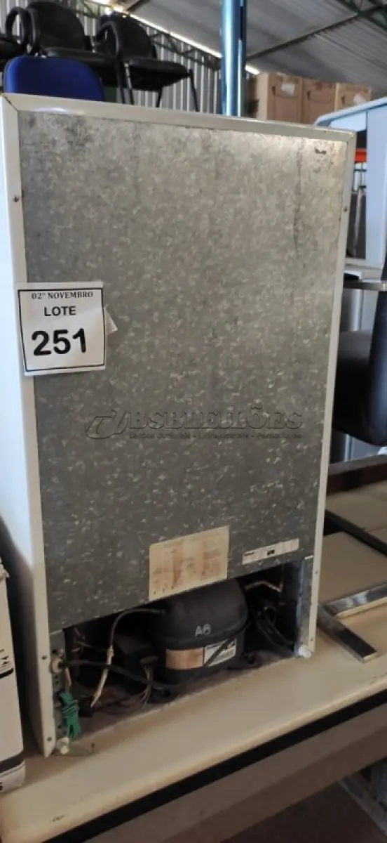 LOTE 251 - 01 FRIGOBAR 220V MARCA CONSUL. (NO ESTADO) ATENÇÃO! FAZER A VISITAÇÃO ANTES DE ARREMATAR, NÃO SABEMOS SE FUNCIONA, LEILÃO NÃO TEM GARANTIA E NEM DEVOLUÇÃO, SUJEITO A POSSÍVEIS AVARIAS VISÍVEIS/OCULTAS E/OU AUSÊNCIA DE COMPONENTES.
