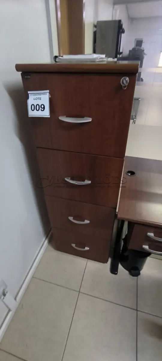 LOTE 009 - 01 ARQUIVO EM MADEIRA COM 04 GAVETAS. (NO ESTADO) ATENÇÃO! FAZER A VISITAÇÃO ANTES DE ARREMATAR, NÃO SABEMOS SE FUNCIONA, LEILÃO NÃO TEM GARANTIA E NEM DEVOLUÇÃO, SUJEITO A POSSÍVEIS AVARIAS VISÍVEIS/OCULTAS E/OU AUSÊNCIA DE COMPONENTES.