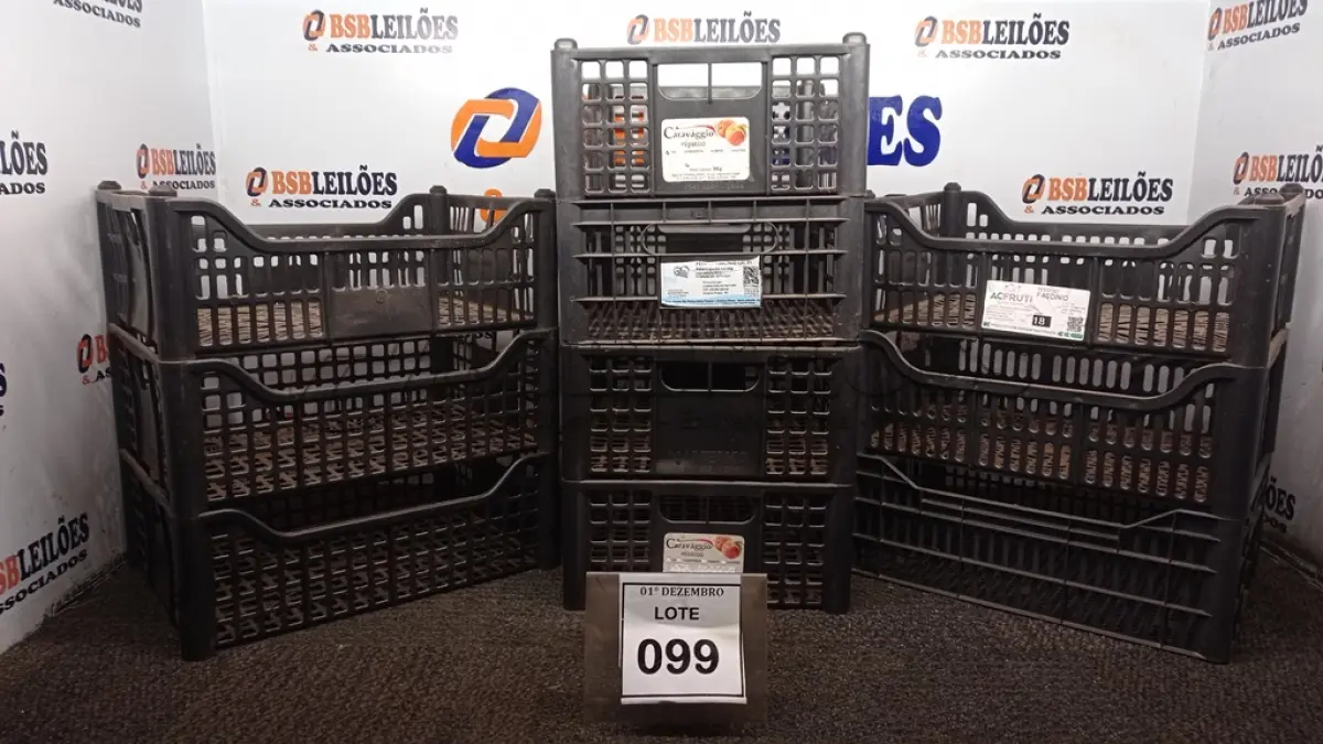 LOTE 099 - 10 CESTAS ORGANIZADORAS. (NO ESTADO) ATENÇÃO! FAZER A VISITAÇÃO ANTES DE ARREMATAR, NÃO SABEMOS SE FUNCIONA, LEILÃO NÃO TEM GARANTIA E NEM DEVOLUÇÃO, SUJEITO A POSSÍVEIS AVARIAS VISÍVEIS/OCULTAS E/OU AUSÊNCIA DE COMPONENTES.
