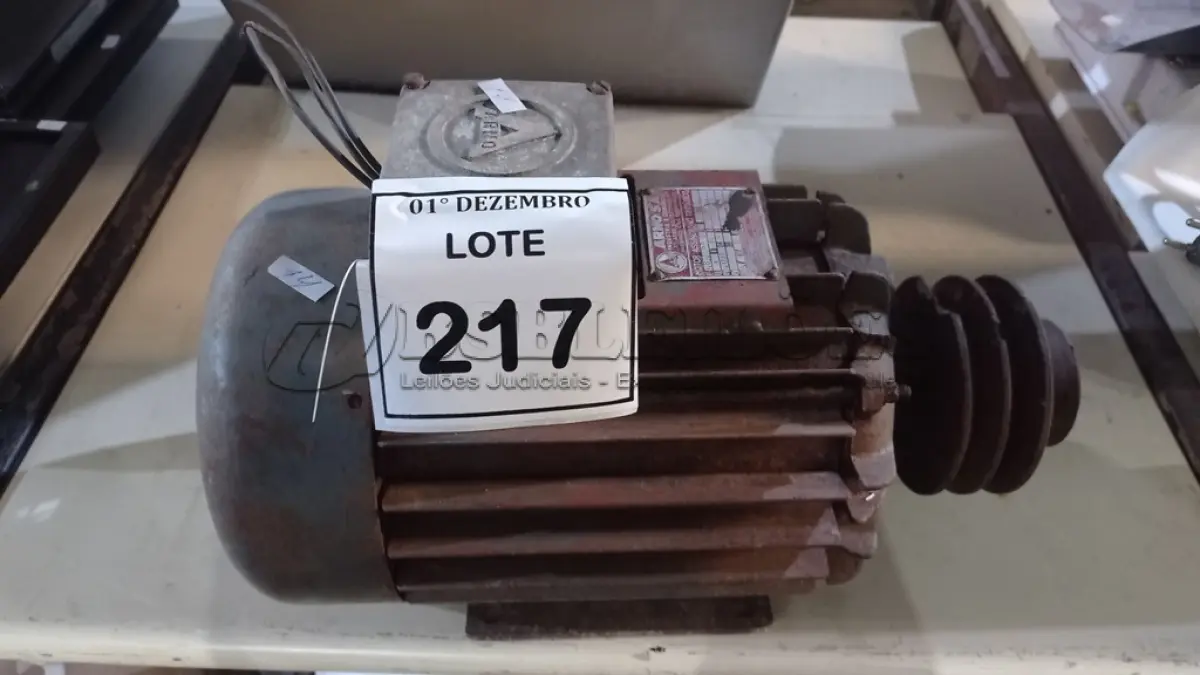 LOTE 217