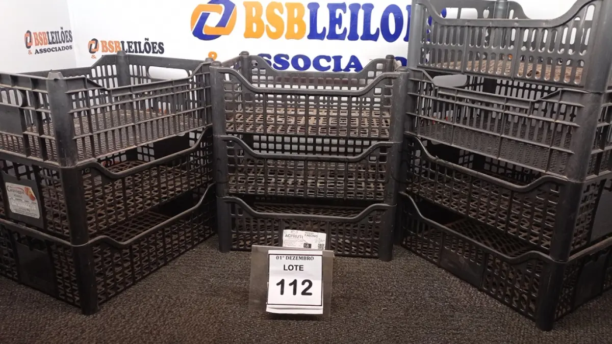 LOTE 112 - 10 CESTAS ORGANIZADORAS. (NO ESTADO) ATENÇÃO! FAZER A VISITAÇÃO ANTES DE ARREMATAR, NÃO SABEMOS SE FUNCIONA, LEILÃO NÃO TEM GARANTIA E NEM DEVOLUÇÃO, SUJEITO A POSSÍVEIS AVARIAS VISÍVEIS/OCULTAS E/OU AUSÊNCIA DE COMPONENTES.