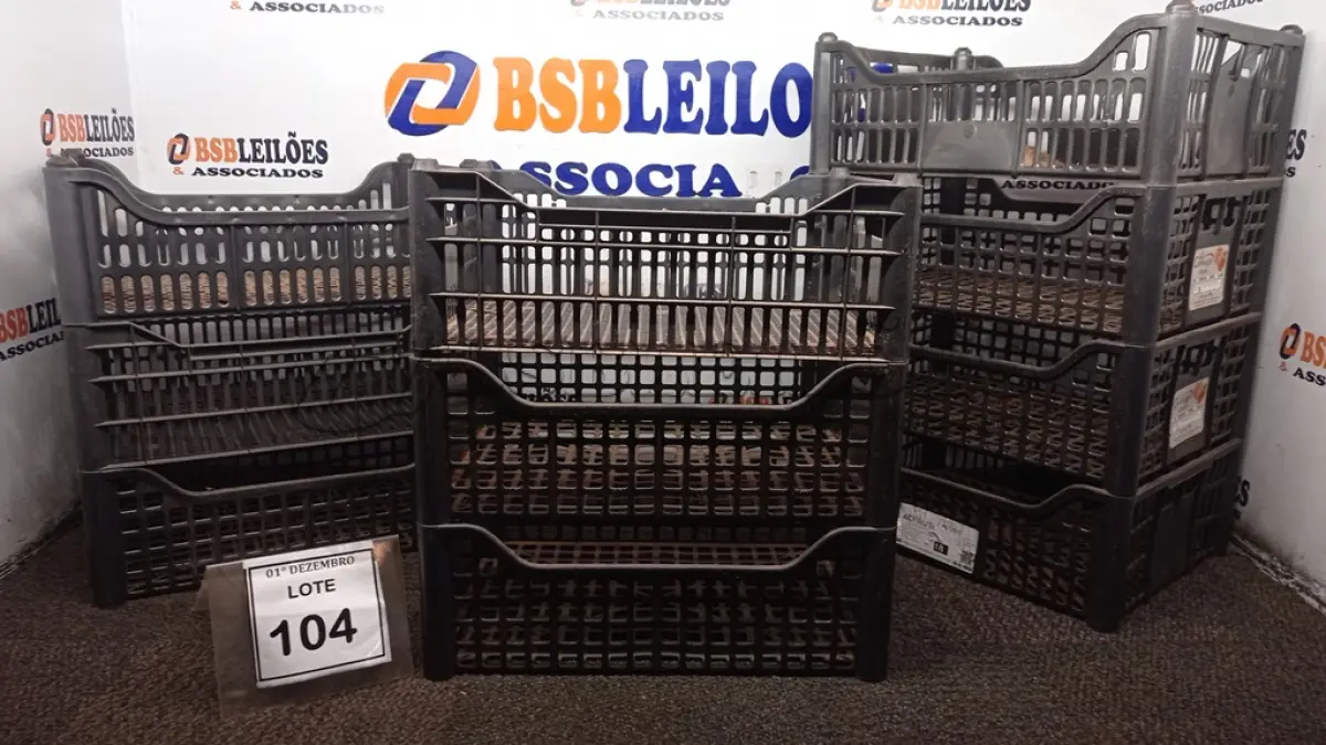 LOTE 104 - 10 CESTAS ORGANIZADORAS. (NO ESTADO) ATENÇÃO! FAZER A VISITAÇÃO ANTES DE ARREMATAR, NÃO SABEMOS SE FUNCIONA, LEILÃO NÃO TEM GARANTIA E NEM DEVOLUÇÃO, SUJEITO A POSSÍVEIS AVARIAS VISÍVEIS/OCULTAS E/OU AUSÊNCIA DE COMPONENTES.