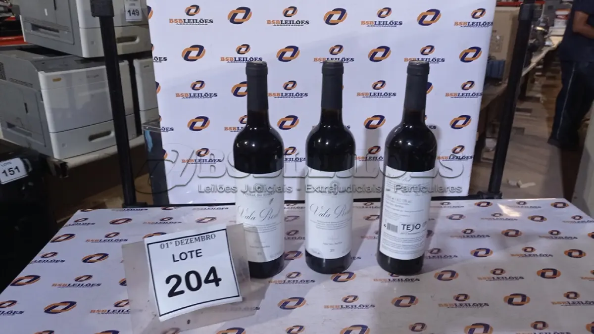 LOTE 204