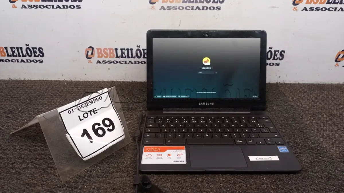 LOTE 169