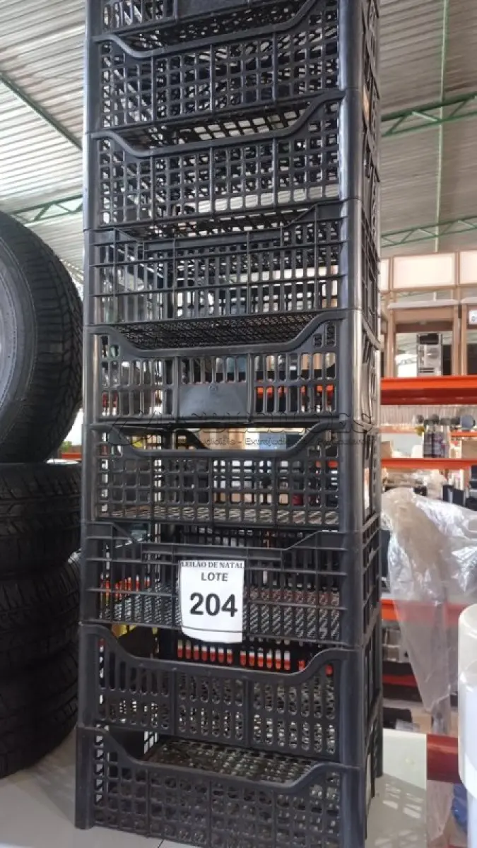 LOTE 204