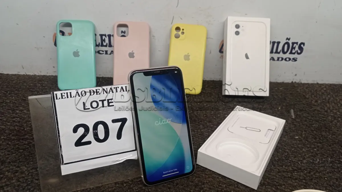 LOTE 207
