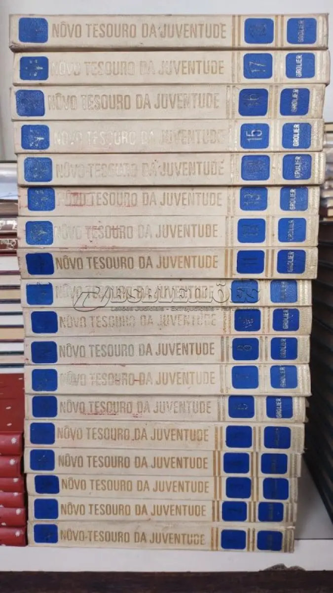 LOTE 007 - 01 COLEÇÃO - NOVO TESOURO DA JUVENTUDE 18 VOLUMES. (NO ESTADO) ATENÇÃO! FAZER A VISITAÇÃO ANTES DE ARREMATAR, NÃO SABEMOS SE FUNCIONA, LEILÃO NÃO TEM GARANTIA E NEM DEVOLUÇÃO, SUJEITO A POSSÍVEIS AVARIAS VISÍVEIS/OCULTAS E/OU AUSÊNCIA DE COMPONENTES.