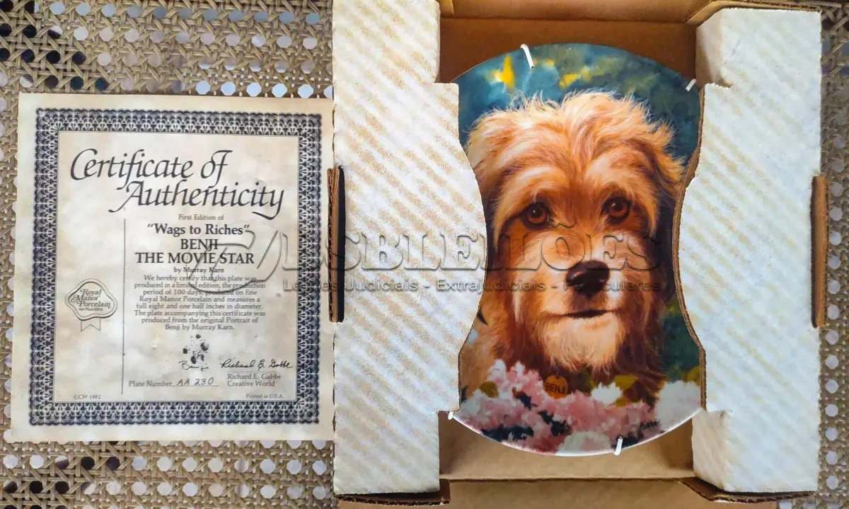 LOTE 155 - 01 RARO PRATO DE PORCELANA ROYAL MANOR  COM  21,5 CM. PRIMEIRA EDIÇÃO DE 1982 PARA COLECIONADORES - BENJI, O CACHORRO. PRODUZIDO EXCLUSIVAMENTE PARA A CREATIVE WORLD, WHITE PLAINS, NOVA YORK. PRIMEIRA EDIÇÃO DE "WAGS TO RICHES" DE BENJI, O ASTRO DE CINEMA, POR MURRAY KARN, CW 1982. PLACA NÚMERO AA 230, A PLACA FOI PRODUZIDA A PARTIR DO RETRATO DE BENJI ORIGINAL, DE MURRAY KARN. O ITEM ACOMPANHA CERTIFICADO DE AUTENTICIDADE E CAIXA ORIGINAL.  ITEM COMPRADO EM GARAGENS DE ANTIGUIDADES NOS EUA.SUPORTE PARA PRATO NÃO INCLUÍDO NESTA VENDA. (NO ESTADO) ATENÇÃO! FAZER A VISITAÇÃO ANTES DE ARREMATAR, NÃO SABEMOS SE FUNCIONA, LEILÃO NÃO TEM GARANTIA E NEM DEVOLUÇÃO, SUJEITO A POSSÍVEIS AVARIAS VISÍVEIS/OCULTAS E/OU AUSÊNCIA DE COMPONENTES.