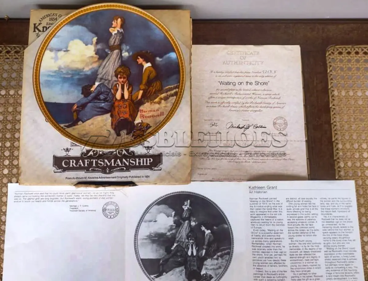 LOTE 336 - 01 PRATO DE COLECIONADOR VINTAGE NORMAN ROCKWELL "WATING ON THE SHORE" "EM PORTUGUES ESPERANDO NA PRAIA", EDIÇÃO 9 DA COLEÇÃO 'MULHERES REDESCOBERTAS DE ROCKWELL'.A ARTISTA MAIS AMADA DOS ESTADOS UNIDOS APRESENTA UMA SÉRIE INTITULADA ""MULHERES REDESCOBERTAS DE ROCKWELL"". ESTA É A NONA EDIÇÃO DA SÉRIE “TRABALHANDO NA COZINHA”.PRATO DE NUMERO 5263V DA EDIÇÃO LIMITADA. EDWIN M, KNOWLES FINE CHINA, NÚMERO BRADEX 84-R70-4.2. COM CERTIFICADO DE AUTENTICIDADE E HISTÓRICO ESCRITO DA IMAGEM DA PLACA INCLUÍDOS. COM DIÂMETRO DE 21 CM CAIXA ORIGINAL. EM EXCELENTE ESTADO. O SUPORTE DO PRATO NÃO ESTÁ INCLUÍDO. PEÇA COMPRADA EM GARAGEM DE ANTIGUIDADES NOS EUA. SUPORTE PARA PRATO NÃO INCLUÍDO NESTA VENDA." . (NO ESTADO) ATENÇÃO! FAZER A VISITAÇÃO ANTES DE ARREMATAR, NÃO SABEMOS SE FUNCIONA, LEILÃO NÃO TEM GARANTIA E NEM DEVOLUÇÃO, SUJEITO A POSSÍVEIS AVARIAS VISÍVEIS/OCULTAS E/OU AUSÊNCIA DE COMPONENTES.