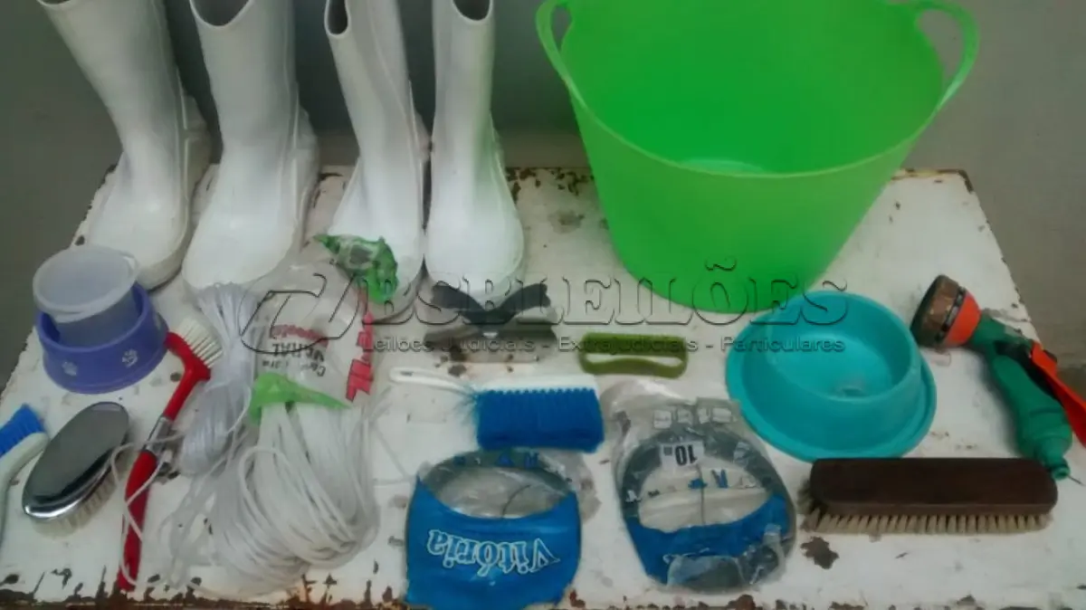 LOTE 518 - 01 LOTE COM DIVERSOS ÍTENS PARA USO. (NO ESTADO) ATENÇÃO! FAZER A VISITAÇÃO ANTES DE ARREMATAR, NÃO SABEMOS SE FUNCIONA, LEILÃO NÃO TEM GARANTIA E NEM DEVOLUÇÃO, SUJEITO A POSSÍVEIS AVARIAS VISÍVEIS/OCULTAS E/OU AUSÊNCIA DE COMPONENTES.