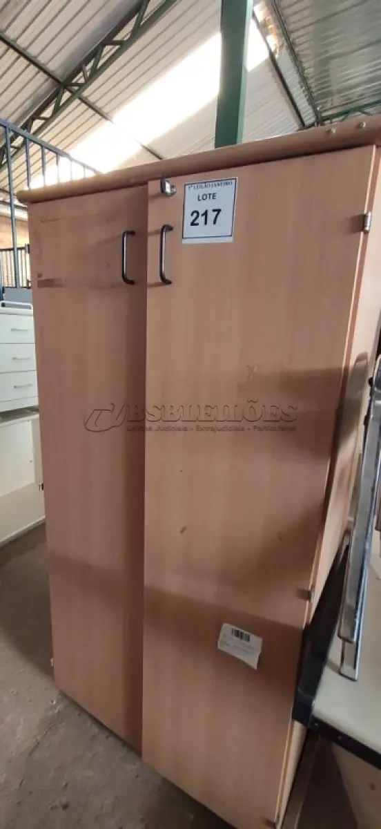 LOTE 217 - 01 ARMÁRIO PARA PASTAS SUSPENSAS.  (NO ESTADO) ATENÇÃO! FAZER A VISITAÇÃO ANTES DE ARREMATAR, NÃO SABEMOS SE FUNCIONA. LEILÃO NÃO TEM GARANTIA E NEM DEVOLUÇÃO, SUJEITO A POSSÍVEIS AVARIAS VISÍVEIS/OCULTAS E/OU AUSÊNCIA DE COMPONENTES.